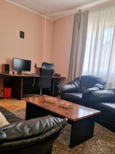 TV a/nebo společenská místnost v ubytování Apartman VEGA