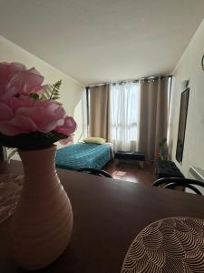 a vase of flowers sitting on a table in a living room at Apartamentos Orquídea Suite in Santiago