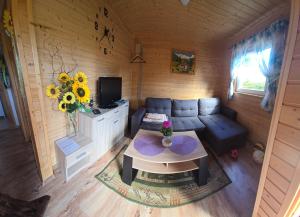 un salon avec un canapé et une table dans l'établissement Domki U Julka Nad Jeziorem Solińskim z Jacuzzi, à Werlas