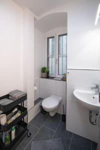 a white bathroom with a toilet and a sink at Barockes Wohnen am Marktplatz-Stadtmitte in Würzburg