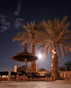 due palme e una fontana di notte di RiadSuerteloca Merzouga a Merzouga