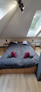 a bedroom with a bed with red pillows on it at Apartamenty Trzy Kopce SKI & BIKE & SAUNA in Ustroń +65 photos