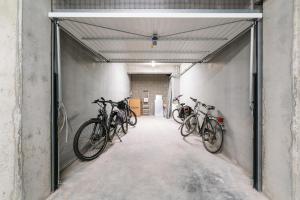 Attività di ciclismo presso l'appartamento o nelle vicinanze