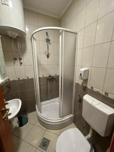 y baño con ducha, aseo y lavamanos. en Villa la Riva, en Mostar