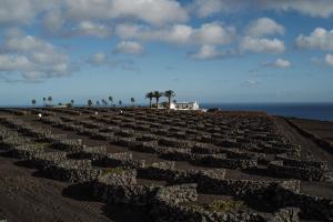 - un grand champ de rochers sur la plage dans l'établissement Hotel Cesar Lanzarote, à La Asomada
