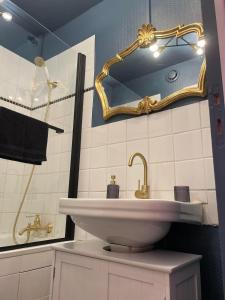 un bagno con lavandino e specchio di Appartement Chic & Baroque 5 min centre ville et Bord de Vienne a Limoges