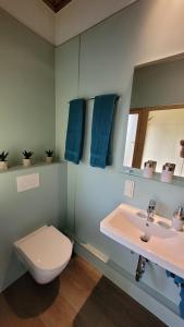 a bathroom with a toilet and a sink at Villa Blu in Sankt Kanzian +41 photos