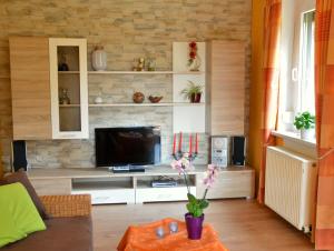 ein Wohnzimmer mit einem TV und einem Sofa in der Unterkunft Ferienwohnung Deutschmann in Schmannewitz