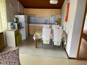 a kitchen with a table and chairs and a refrigerator at Apartments VUK in Jagodje