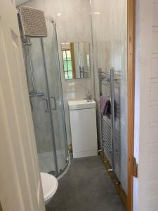 Koupelna v ubytování Letterkenny Cabin