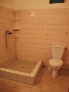 W łazience znajduje się toaleta oraz wanna z toaletą. w obiekcie Appartement de 3 chambres avec jardin clos et wifi a Port Louis a 3 km de la plage w mieście Port-Louis