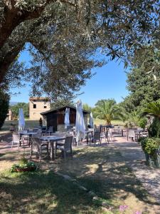 a picnic table with umbrellas and chairs under a tree at Resort Restaurant Villa Berta in San Severino Marche
