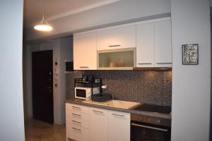 A kitchen or kitchenette at Mavrikios Luxury Apartment