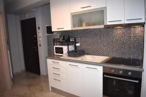 A kitchen or kitchenette at Mavrikios Luxury Apartment