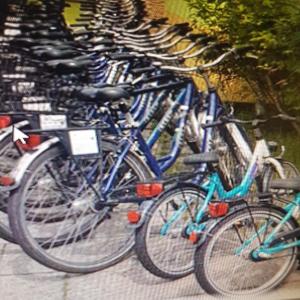a row of bikes parked next to each other at Pension Stechlinsee in Neuglobsow