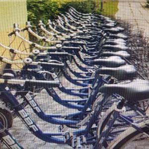 a row of blue bikes parked in a row at Pension Stechlinsee in Neuglobsow