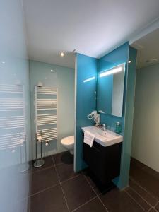 羊角村的住宿－德佩爾戈拉酒店，一间带水槽和卫生间的浴室以及蓝色的墙壁。