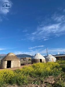 un grupo de tres cúpulas en un campo con flores en Yurt camp Sonun en Bokonbayevo