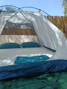 Bazén v ubytování Borsh Olive Camping nebo v jeho okolí