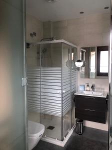 y baño con ducha, aseo y lavamanos. en Casa Iparra Txiki Berri en Irún