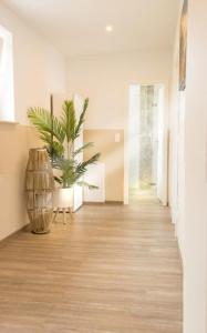 a hallway with a vase and a plant in it at Wasserblick Loddin Deluxe 8 in Loddin