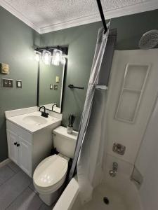 a bathroom with a toilet and a sink and a shower at Stroll to Slopes, Village Area, Ski in-out MtLodge 308 in Snowshoe