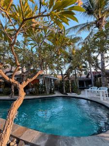a swimming pool with a tree in front of a house at Coconut Dream in Gili Trawangan