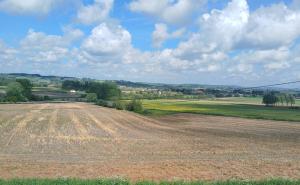 a field of crops with a blue sky and clouds at Hakunamatata in Mainvault