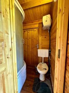a bathroom with a toilet in a wooden cabin at Haapsu Holiday Home in Haapsu