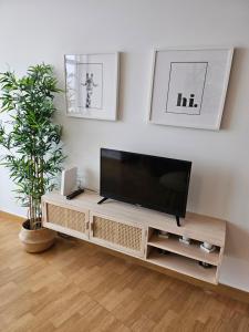uma sala de estar com uma televisão de ecrã plano num armário em APARTAMENTO CON INCREIBLES VISTAS A LA PLAYA DE RIAZOR na Corunha