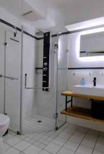 y baño con ducha, lavabo y aseo. en Appartement Brinkmann, en Braunlage