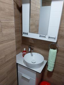Koupelna v ubytování Visočka Banja Apartmani