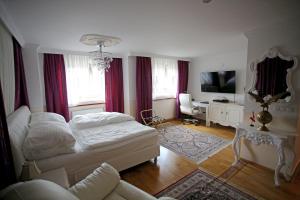 TV a/nebo společenská místnost v ubytování Höckner Plaza Hotel