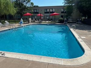 a large blue swimming pool with chairs and umbrellas at Ramada by Wyndham Newark/Wilmington in Newark