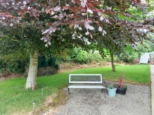Um jardim no exterior de Castleview Apartment 1