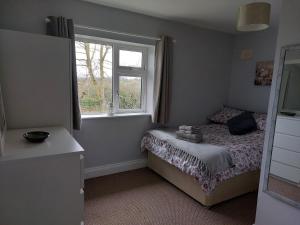 um pequeno quarto com uma cama e uma janela em Castleview Apartment 1 em Cavan