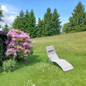 a white chair sitting in the grass next to a bush at Ferienwohnung “Haus Rita” in Riedlhütte