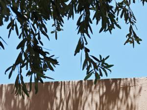 Фотография из галереи Cape Sounio, A Grecotel Resort to Live в Сунионе