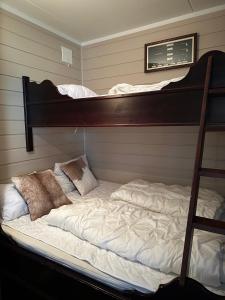 een slaapkamer met 2 stapelbedden en een ladder bij Storehorn Apartments in Hemsedal