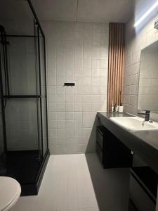 ein Bad mit einer Dusche, einem Waschbecken und einem WC in der Unterkunft Storehorn Apartments in Hemsedal