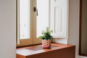 Fotografie z fotogalerie ubytování Palazzo D'Azeglio v Alberobellu