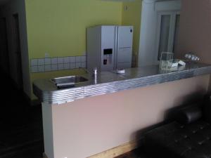 a kitchen with a counter with a sink and a refrigerator at Le Panorachic in Satillieu