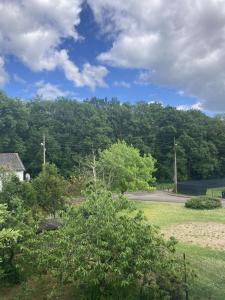vistas a un parque con árboles y una carretera en Appartement 6 couchages environnement paisible, en Saint-Étienne-du-Rouvray