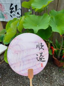 张家界竹奢民宿外面的花园