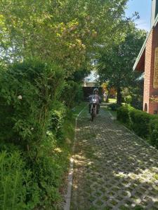a person riding a bike down a cobblestone road at Apartment Dulovine in Kola&scaron;in