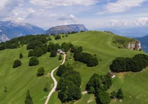 an aerial view of a green hill with trees and a road at Baita Lomasona in Comano Terme +19 photos