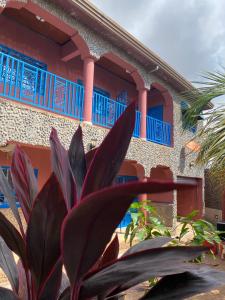 une maison dotée de fenêtres bleues et d'une plante devant elle dans l'établissement HAKABA, à Conakry