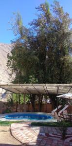 a large swimming pool with a wooden roof at Cabaña en Valle de Elqui in Horcon