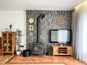 a living room with a fireplace and a television at Calm garden Suite near Green Lakes in Vilnius