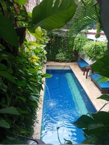 una piscina en un jardín con plantas en Casa Pizarro Hotel Boutique, en Cartagena de Indias